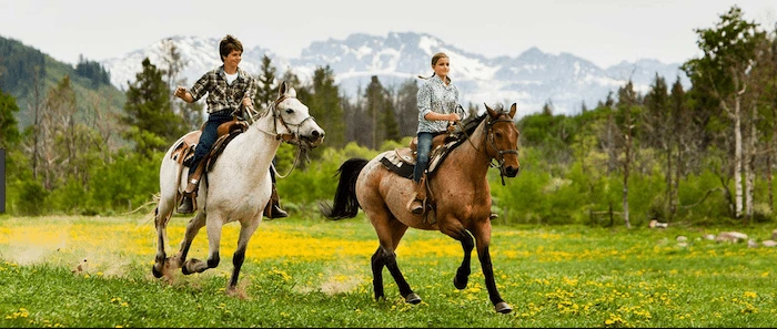 Confident plus-size woman riding Southend a horse through a field with a smile on her face.